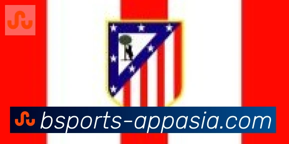 bsports体育合作伙伴