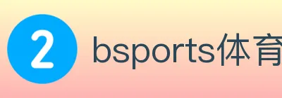 bsports体育 logo